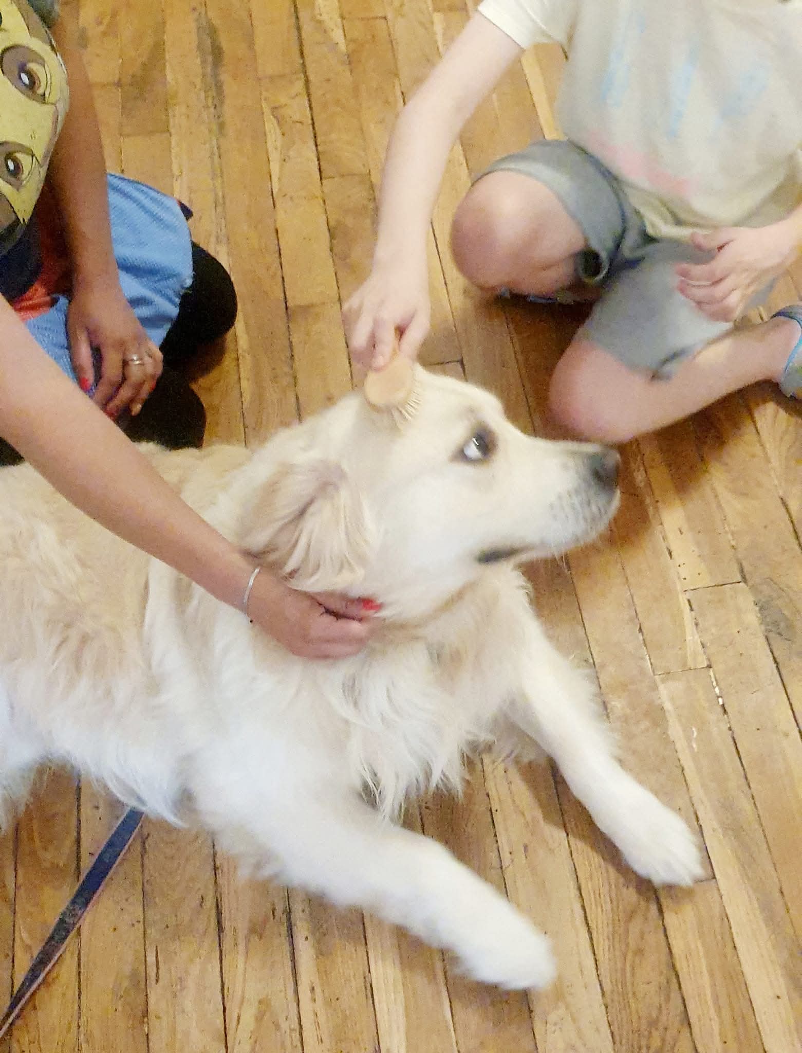 Picture of the gallery